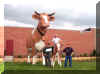 COWBOY.JPG (85878 bytes)